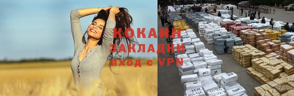 молекула духа Ахтубинск